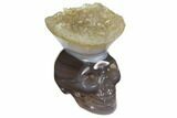 Polished Agate Skull with Quartz Crown #149543-1